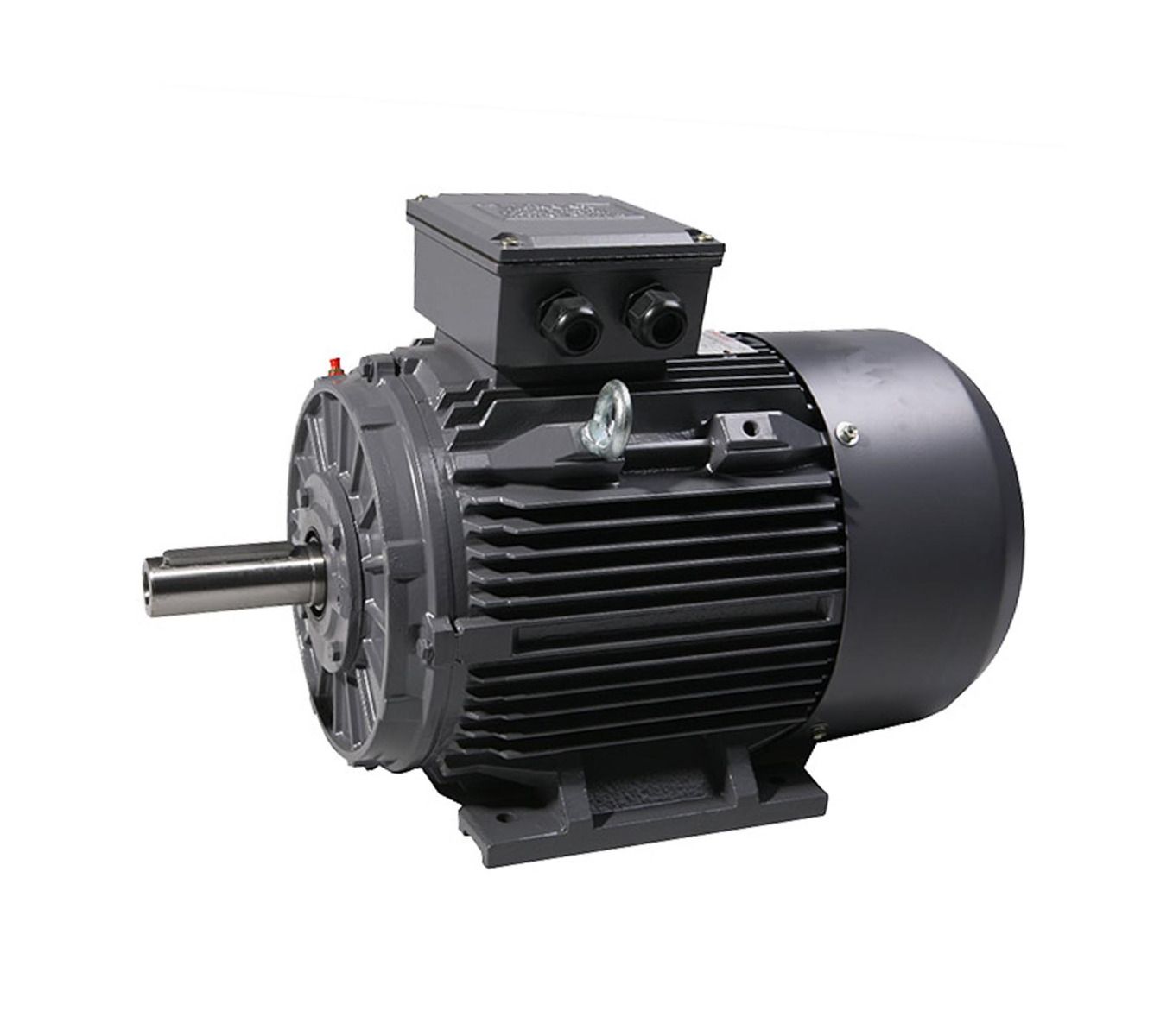 IE3 Premium Efficiency Motor